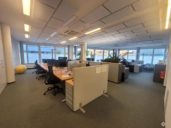 hoelzlhubnerimmobilien