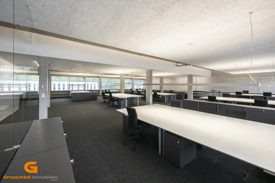 1.OG Bürofläche