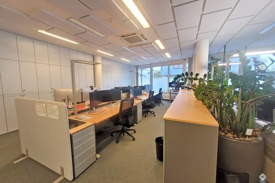 hoelzlhubnerimmobilien